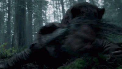 jsakic - Niedźwiedź grizzly bawiący się Leonardo Di Caprio.