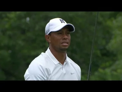 brydrzysta - Tiger Woods
tak bardzo mi szkoda upadającej legendy
w filmie niektóre ...