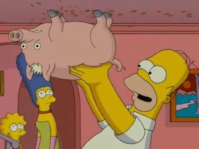 Reginald911 - A Homer Simpson nauczył swoją swinke chodzenia po ścianach