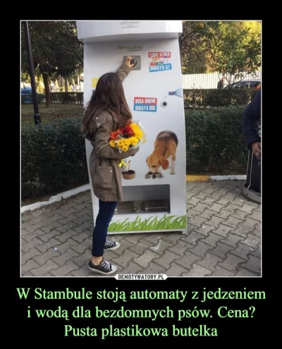 k.....3 - A w Polsce Janusze by autem podjeżdżały z workiem butelek i karma dla pupil...