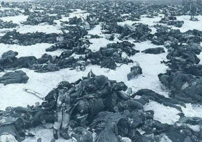 Chicoxxx66 - Martwi niemieccy żołnierze po bitwie pod Stalingradem. Rok 1943 

#zdjec...