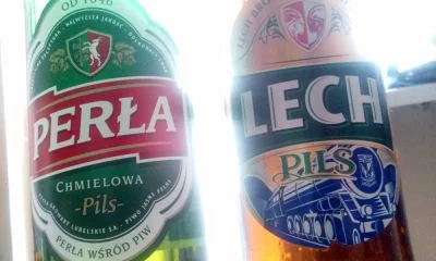 oggy - Perła > Lech

#piwo #oswiadczeniezdupy