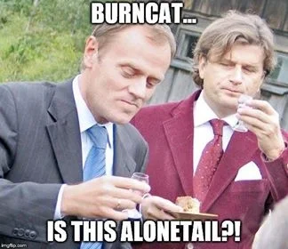 malinowydzem - YET HOW, BURNCAT
#heheszki #humorobrazkowy #angielskiztuskiem