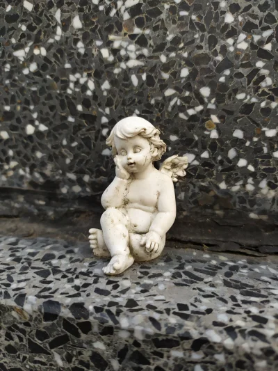 lenovo99 - Takiego aniołka na cmentarzu dzisiaj zobaczyłem

#cmentarz #zdjecia #mojez...