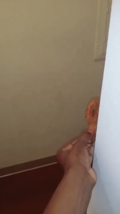 ploniak - #zonabijealewolnobiega #heheszki #gif