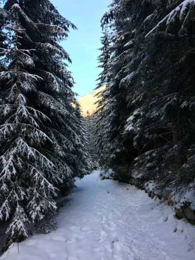 n.....v - #mojezdjecie #gory #tatry #fotografia