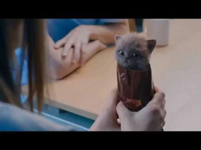 dwakotykastrowane - Taka tam reklama ciastek. Oglądać z dzwiękiem.
#koty #kot #humor...