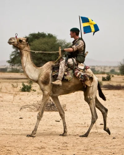 stahs - Szwedzka armia:

#military #wpisbezsensu