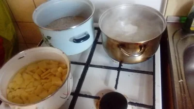 RzecznikWykopu - Gonzo przygotowuje niedzielny obiad ( ͡° ͜ʖ ͡°)

Ziemniaki pokroił...