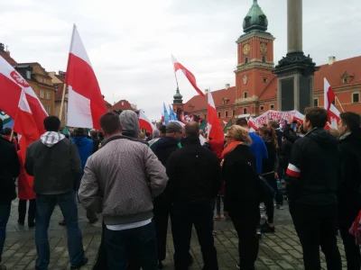 katefoxconn - #niedlaislamizacjieuropy #manifestacja #warszawa