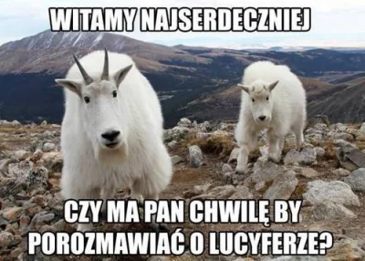 N.....i - #zwierzaczki