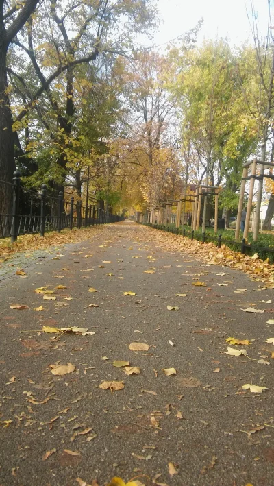 aaa_daa - Przepraszam bo ja właśnie rzuciłam wszystko i jadę do Karpacza i w sumie cz...