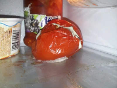 Evidence - Taki pomidor znalazłem w firmowej lodówce.



#obcecywilizacje