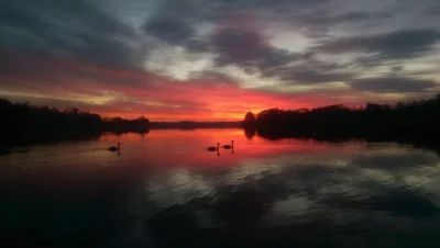 u.....o - Jedna z lepszych fotek, jakie kiedykolwiek udało mi się ustrzelić.