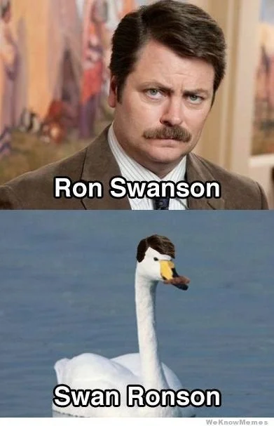 barteck - Swan Ronson?