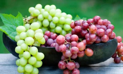 MalyBiolog - Składniki winogron mogą łagodzić objawy depresji

Związki pochodzące z...