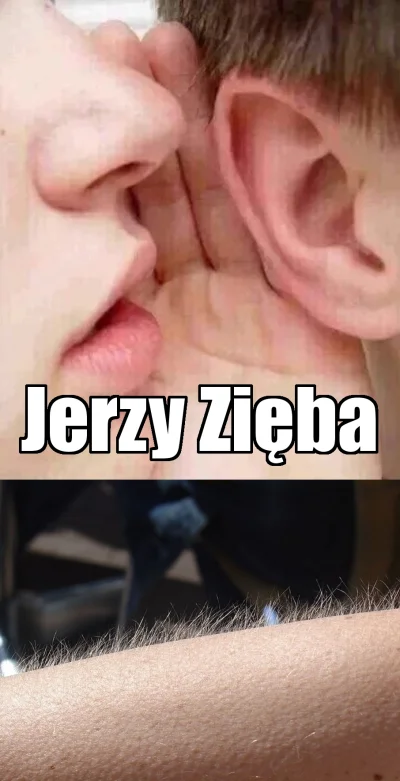 Z.....c