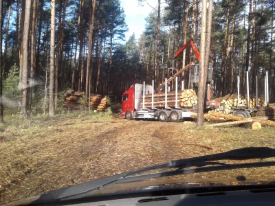 Pizdryk12 - Ja pienie. Oni korkują juz wszedzie, nie można nawet spokojnie do lasu na...