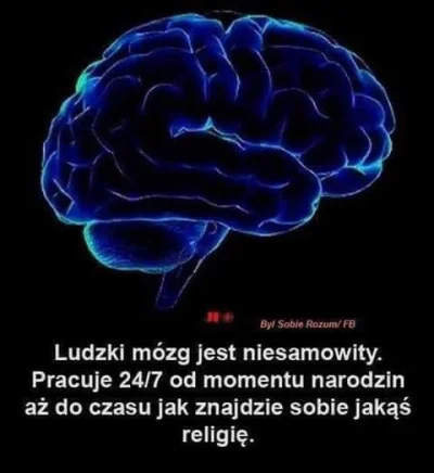 robert5502 - #cytaty #bekazkatoli #religia #neuropa #ateizm