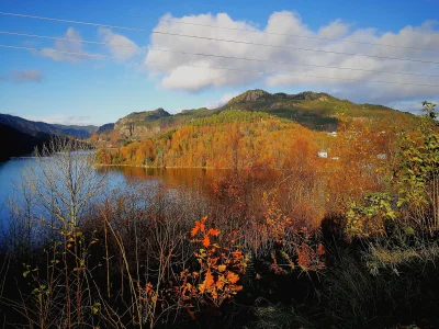 PMV_Norway - #norwegia #fotkazkomorki no i kolejne #zdjecie z cyklu jesień w okolicy....