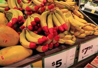 SupreminTHC - Banany w Australii często mają czerwone końcówki. ( ͡° ͜ʖ ͡°)
#Austral...