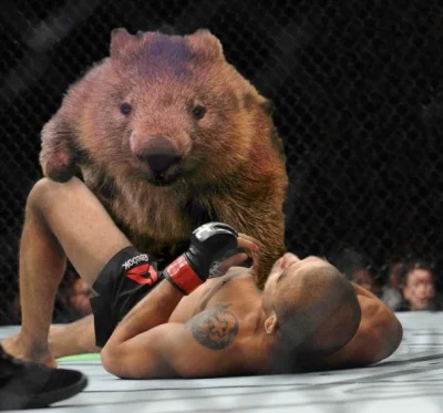 Nusretin - It might be photoshopped ( ͡º ͜ʖ͡º)

#wombat #heheszki