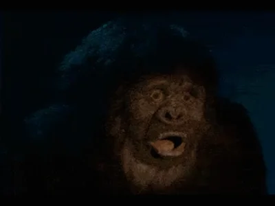 Ratel - Kiedy dziewczyna mówi, że musicie poważnie porozmawiać. 

#gif #heheszki