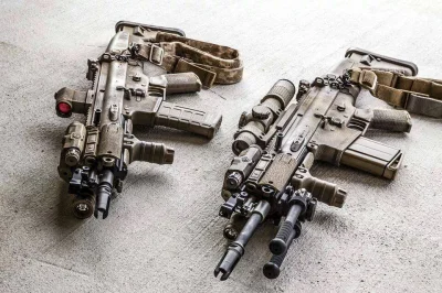 Rogue - FN Scar.

#projektdedal #bron #gunboners