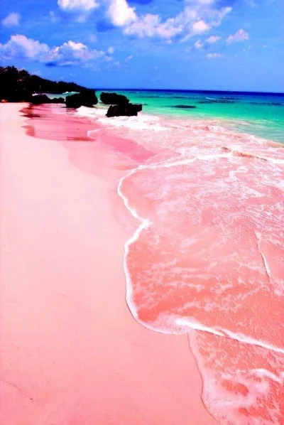 kono123 - plaża z różowym piaskiem na Bahama

#ciekawostki #bahama #podroze #rozowy...