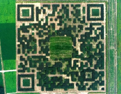 Mesmeryzowany - Chińczyki zrobiły wielki QR kod z drzew
#ciekawostki #chiny
