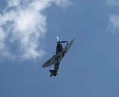 nikczemink - Takiego skurczybyka ustrzeliłem. #spitfire #samoloty #mojezdjecie