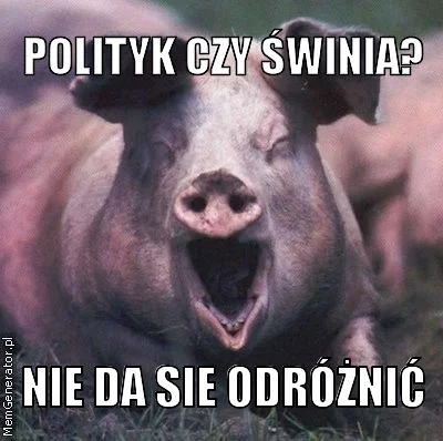 JWRJWR - Władza uzależnia i psuje człowieka; a mówiąc inaczej - ciężko oderwać świnię...