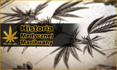 THC-THC - @THC-THC: Historia Medycznej Marihuany, Wszystko o Medycznej Marihuanie
#H...