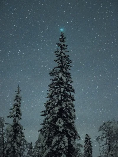 Artktur - Świąteczna kometa 46P/Wirtanen

12 grudnia 2018 Bleikvassli, Norwegia
fo...