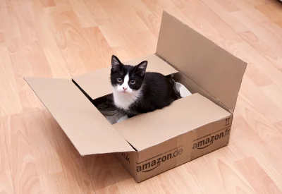 Dolan - moja kotka też lubi pudełka :D