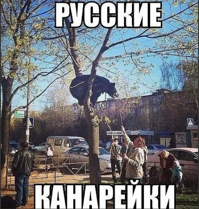 Powstaniec - Takie tam gdzieś w Rosji
SPOILER
#rosja #heheszki #niedzwiedzie #przyr...