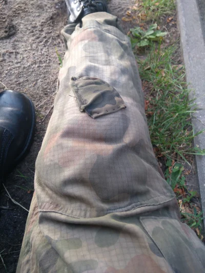 matibu06 - Fajne te mundury, takie nie za mocne ( ͡° ʖ̯ ͡°)

#wojsko #heheszki #chwal...