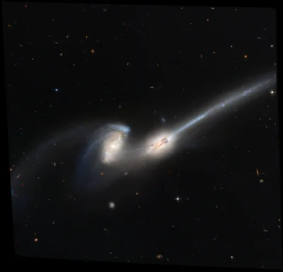 s.....w - Ganiające się myszy - Galaktyka NGC 4676, para galaktyk, które się ze sobą ...