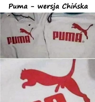 xdpedia - @xdpedia: Puma - wersja Chińska https://www.xdpedia.com/41596/pumawersjachi...