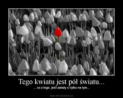 paripl - #demotywatory #kupamięci #sotrue