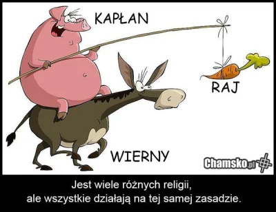 d.....r - Nauczanie religii katolickiej w Polsce, nie tylko w szkołach ale i przedszk...