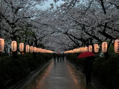 Lookazz - > Street in Kamakura 

#dzaponialokaca <==== czarnolistuj 

#fotografia