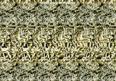 drrryn_drrryn - #stereogram