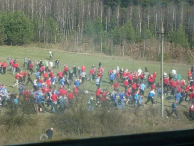 tyski - Proponuje dwóch grupom blokującym ulice wybranie się na grzyby na jakąś leśną...