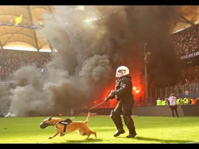 s.....a - @Slonx Bundesliga ostatni mecz HSV ( zeszła sobota)