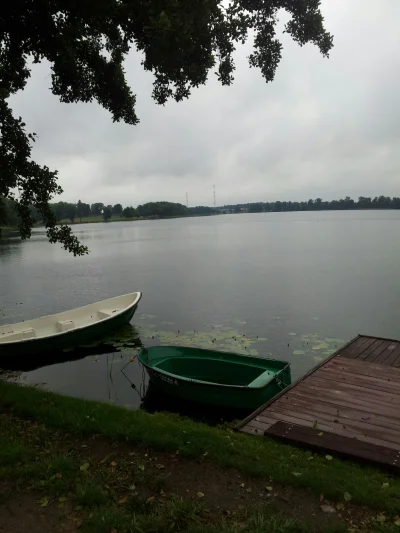 adeqsb - #pszczew #jezioro #polska Polecam dzieciom