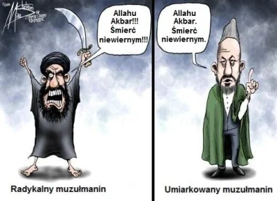 piwomir-winoslaw - Różnica między islamem radykalnym i umiarkowanym jest zasadnicza!