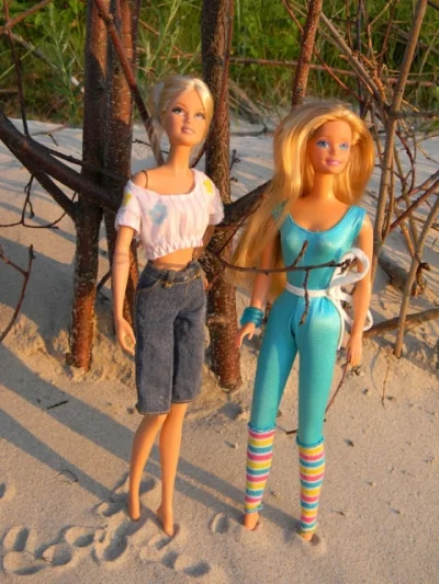 ledy - Barbie i Fleur na bezludnej wyspie...
#lalka