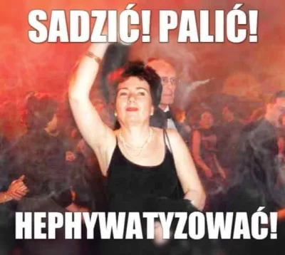 PolaczekCebulaczek - #heheszki #pdk #humorobrazkowy