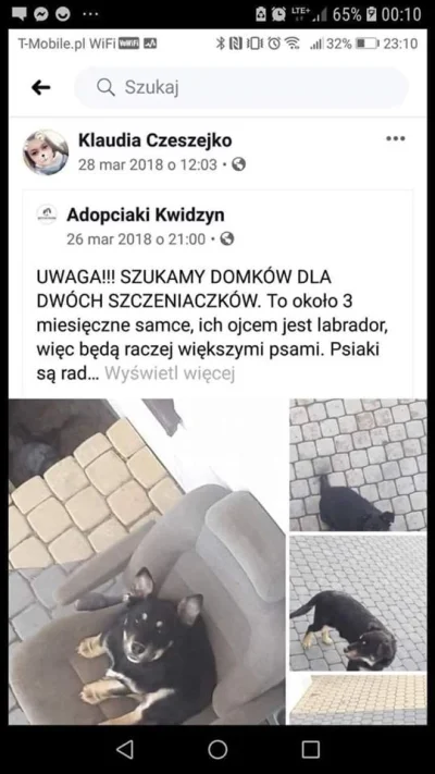 user_ghost - @szunis: a z kiedy jest artykuł? na profilu w komentarzach tej małolaty ...